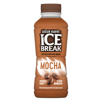 Ice Break Mocha 375 ml