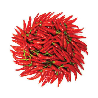 Biber Acı Şili Kırmızı kg