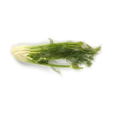 Fençel