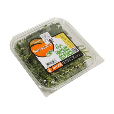 Semizotu Corn Salat