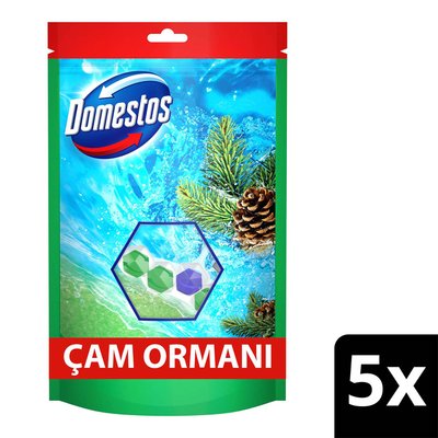 Domestos Tuvalet Bloğu Çam Ormanı 5Li Güç 250 g